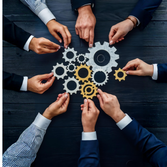 Organisational Development